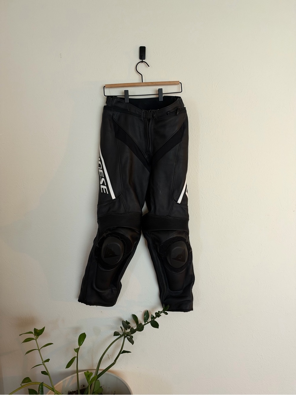 Dainese Leather Motorcycle Pants